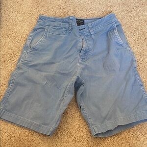 American Eagle Outfitters Light Blue Flat Front Shorts